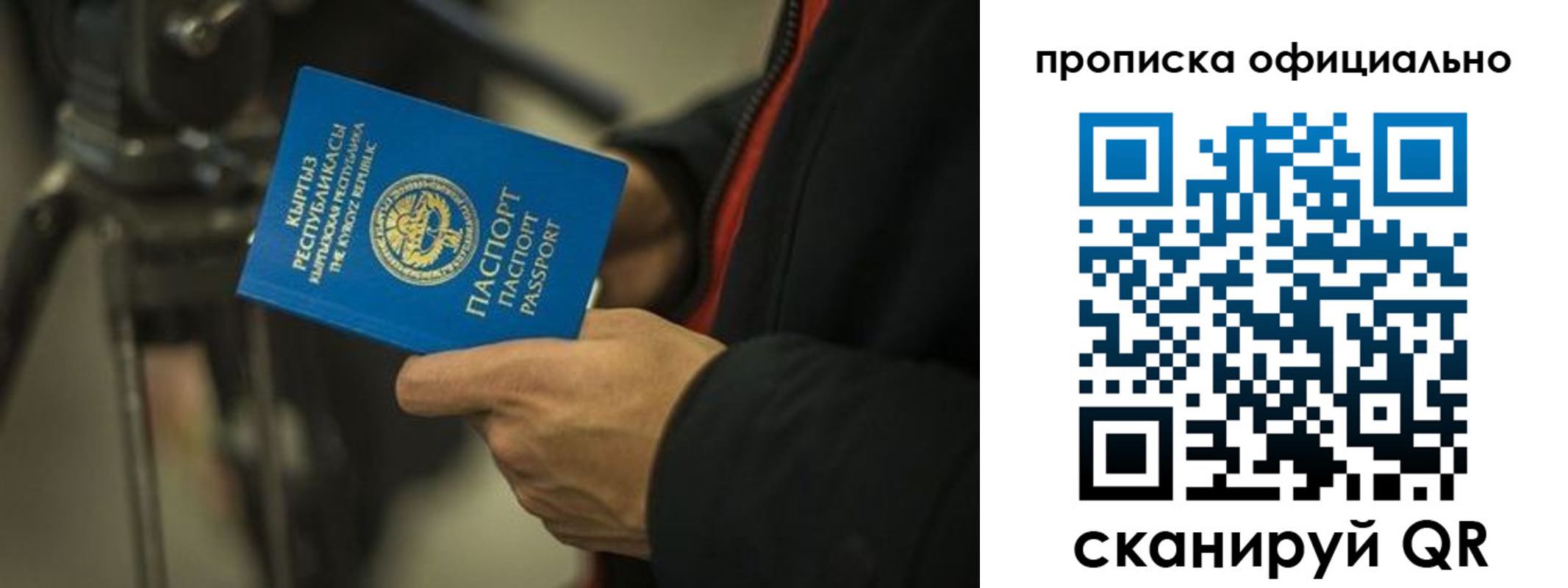 прописка в Данилове